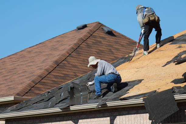 Best Roof Coating and Sealing  in Forest Lake, IL
