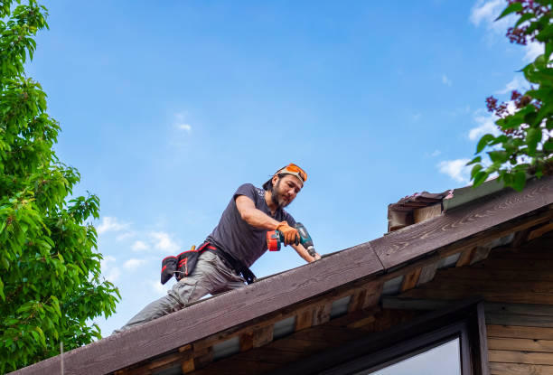 Best Roof Moss and Algae Removal  in Forest Lake, IL