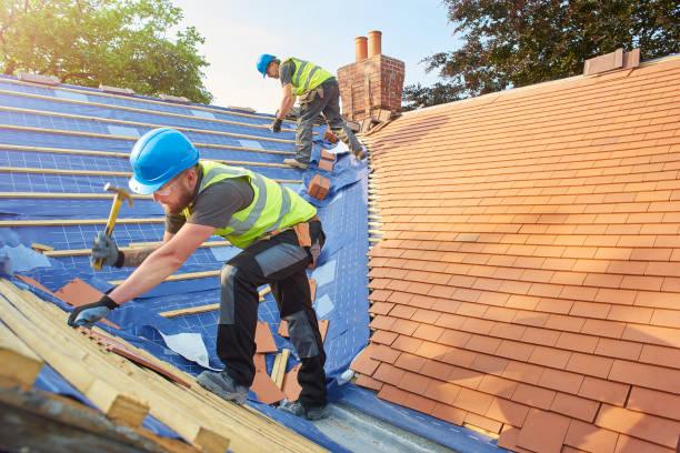 Best Roofing for New Construction  in Forest Lake, IL